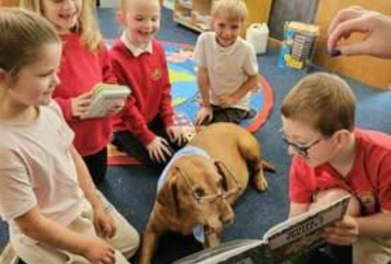 Schools Visits Update 2025