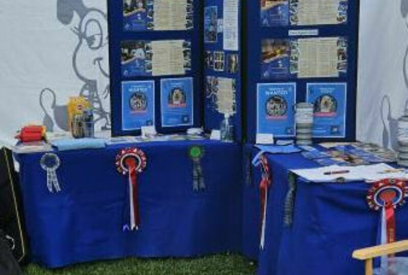 Therapet table top display