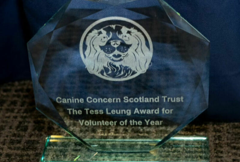 Volunteer Award 2023 good quality