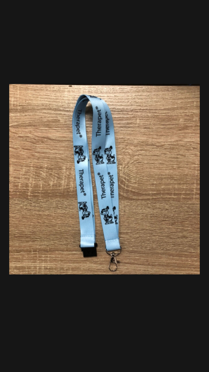 Lanyard